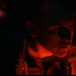 Bilder Animals - Wie wilde Tiere