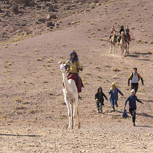 Bilder Prinzen der Wüste - Schneller als der Wind