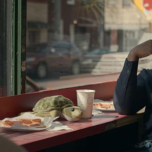 Bilder Idris Debrand