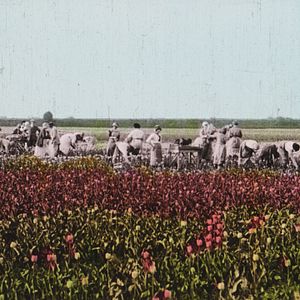 Bilder Dearest Fiona