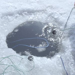 Bilder Unutma Biçimleri