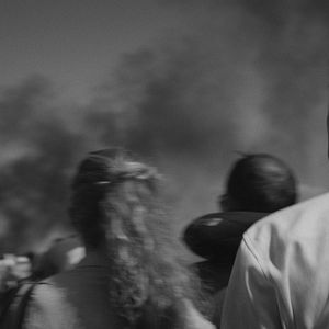 Bilder Iron Butterflies