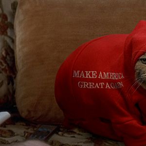 Bilder Hello Dankness