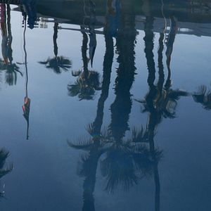 Bilder This Is the End