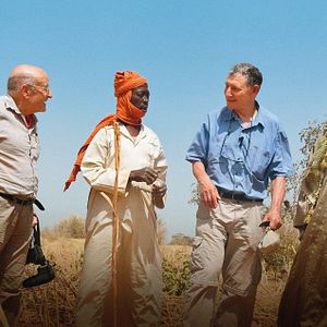 Bilder Der Waldmacher