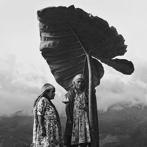 Bilder Gods Of Mexico