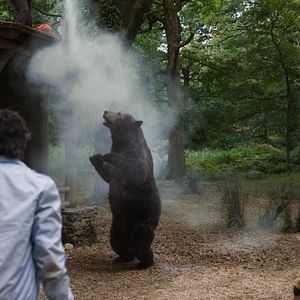 Bilder Aaron Holliday