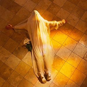 Bilder A Rose In Winter