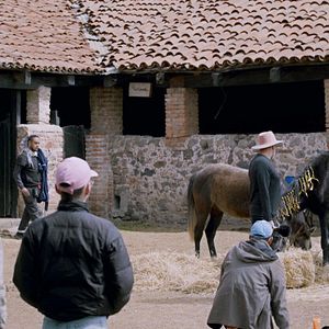 Bilder Pornomelancolía