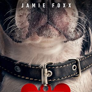 Bilder Doggy Style: Dieser Sommer kommt von hinten