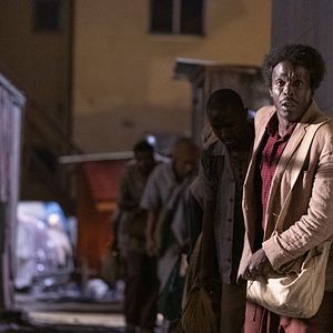 Bilder The Red Sea Diving Resort