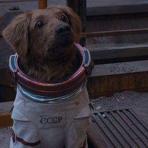 Bilder Guardians Of The Galaxy Volume 3