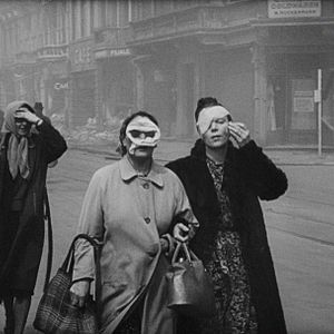 Bilder Luftkrieg - Die Naturgeschichte der Zerstörung