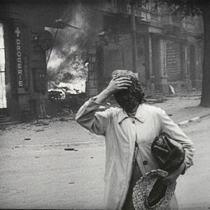 Bilder Luftkrieg - Die Naturgeschichte der Zerstörung