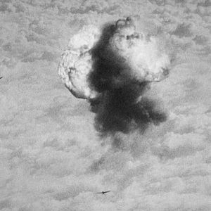 Bilder Luftkrieg - Die Naturgeschichte der Zerstörung