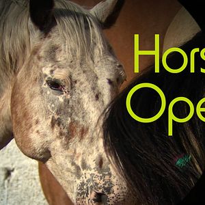 Bilder Horse Opera