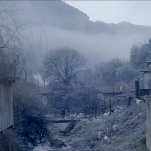 Bilder Bürgermeister, Schäfer, Witwe, Drache