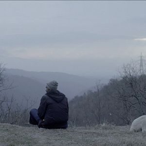 Bilder Bürgermeister, Schäfer, Witwe, Drache