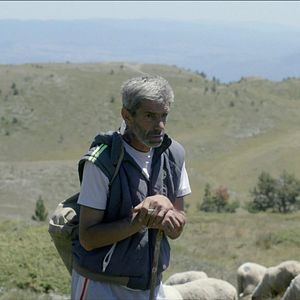 Bilder Bürgermeister, Schäfer, Witwe, Drache