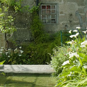 Bilder Joana Ribeiro