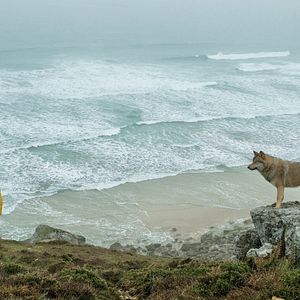 Bilder Alexandra Lamy