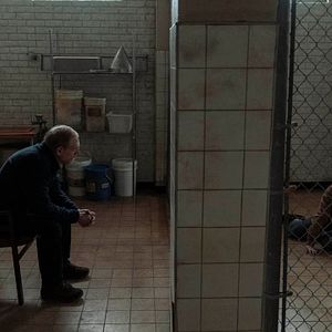 Bilder The Last Of Us