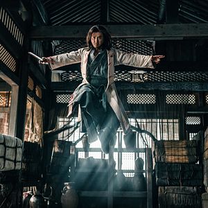 Bilder Donnie Yen's Sakra