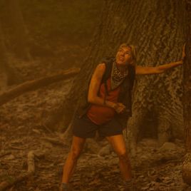 Bilder Extrapolations