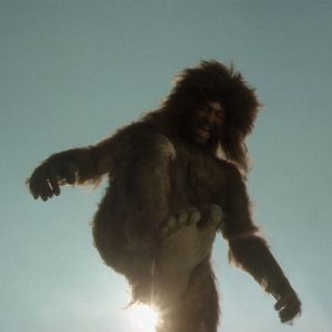 Bilder Yeti, il gigante del ventesimo secolo