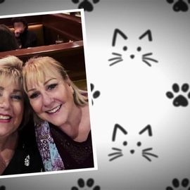 Bilder Auf alle Felle Gold!