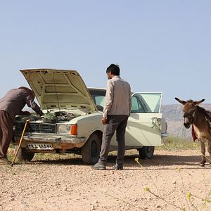 Bilder Hadi Mohaghegh