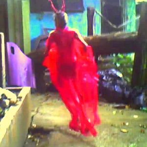 Bilder Love Is A Dog From Hell