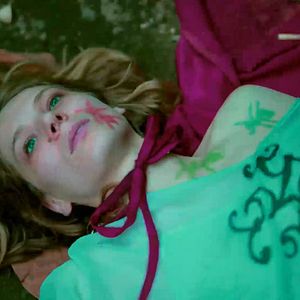 Bilder Love Is A Dog From Hell