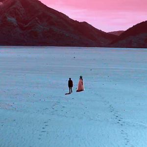 Bilder Love Is A Dog From Hell