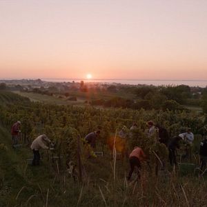 Bilder Terroir - Eine genussvolle Reise in die Welt des Weins
