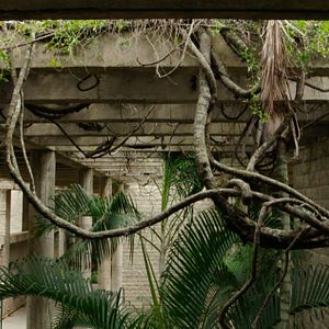 Bilder Das Versprechen - Architekt BV Doshi