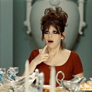 Bilder Tausendschönchen - kein Märchen