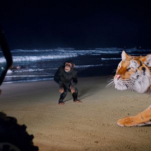 Bilder Janes tierische Abenteuer