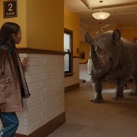 Bilder Janes tierische Abenteuer