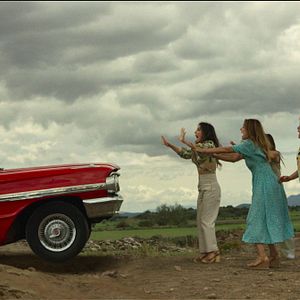 Bilder Königinnen auf der Flucht