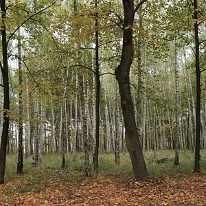 Bilder Der Rhein fließt ins Mittelmeer