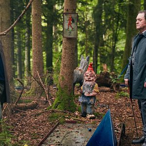 Bilder Kohlrabenschwarz