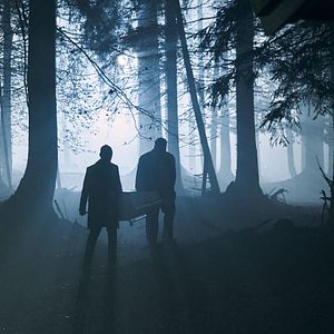 Bilder Kohlrabenschwarz