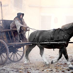 Bilder Kohlrabenschwarz