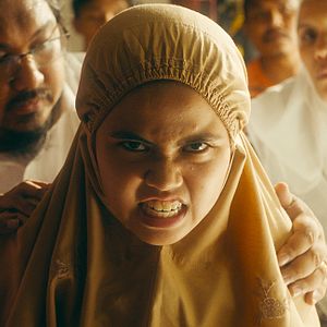 Bilder Tiger Stripes