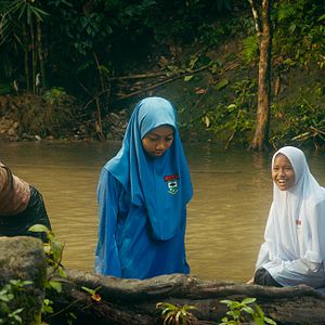 Bilder Tiger Stripes