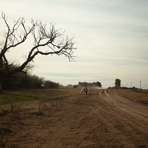 Bilder Trenque Lauquen Teil 1