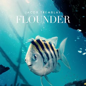 Bilder Arielle, die Meerjungfrau