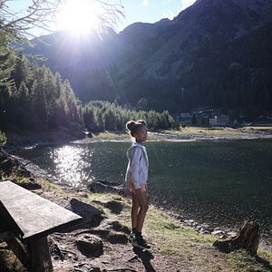 Bilder Lassie - Ein neues Abenteuer