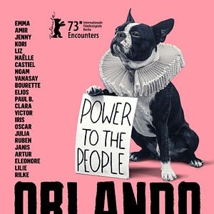 Bilder Orlando, meine politische Biografie